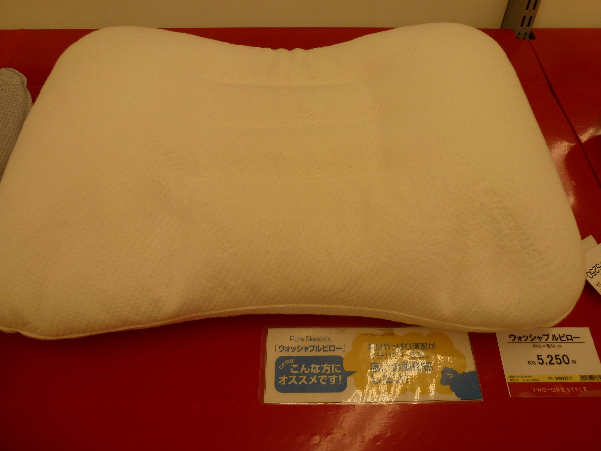 P1000937.JPG