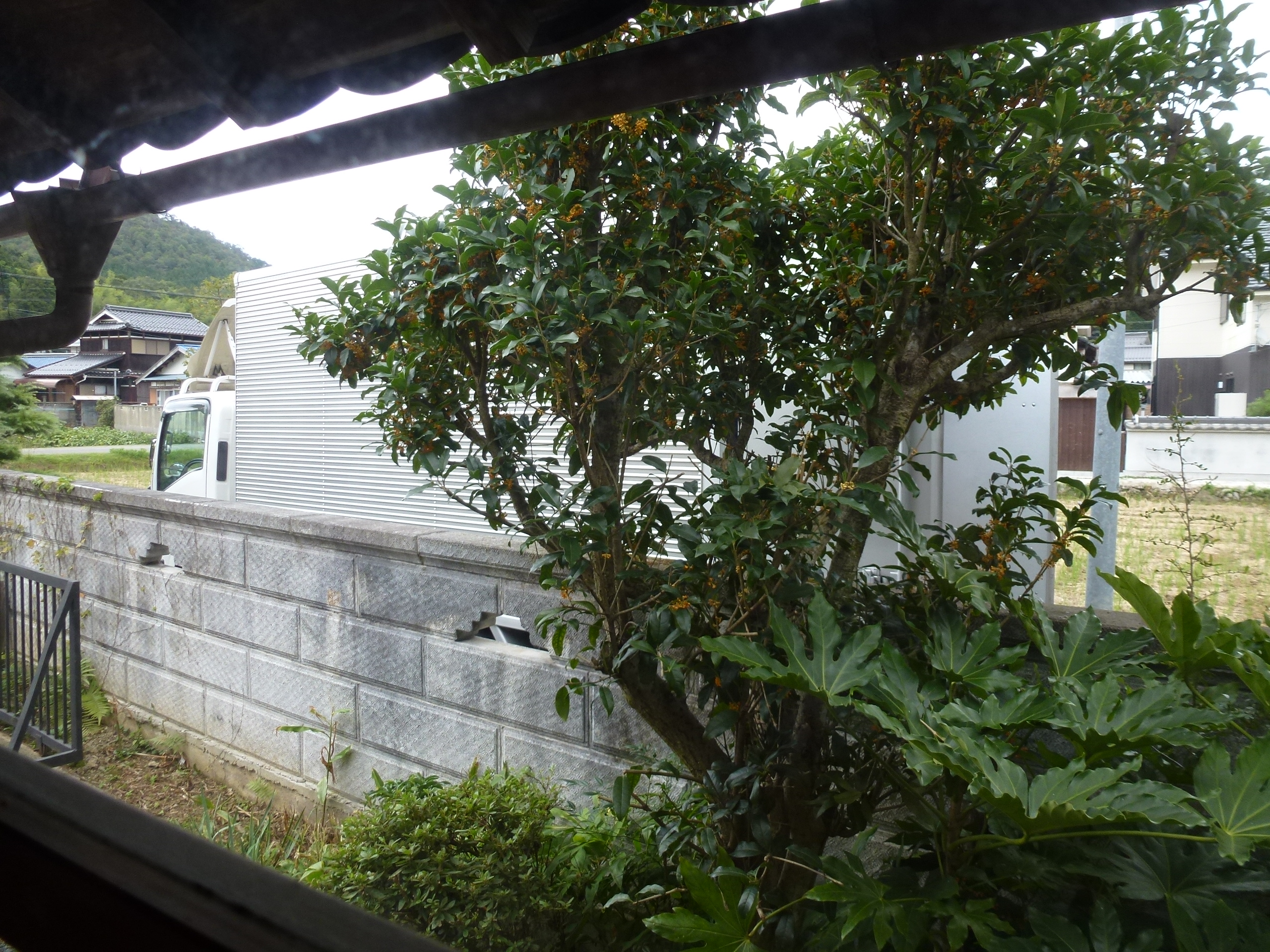 P1010008.JPG