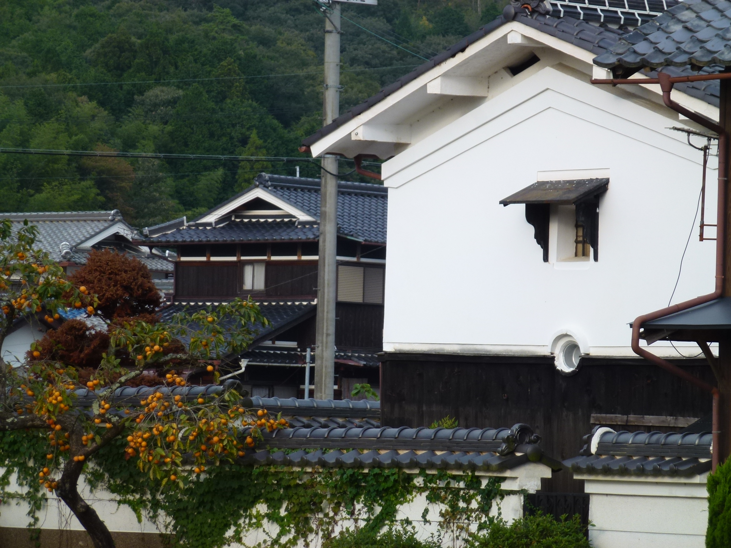 P1010010.JPG