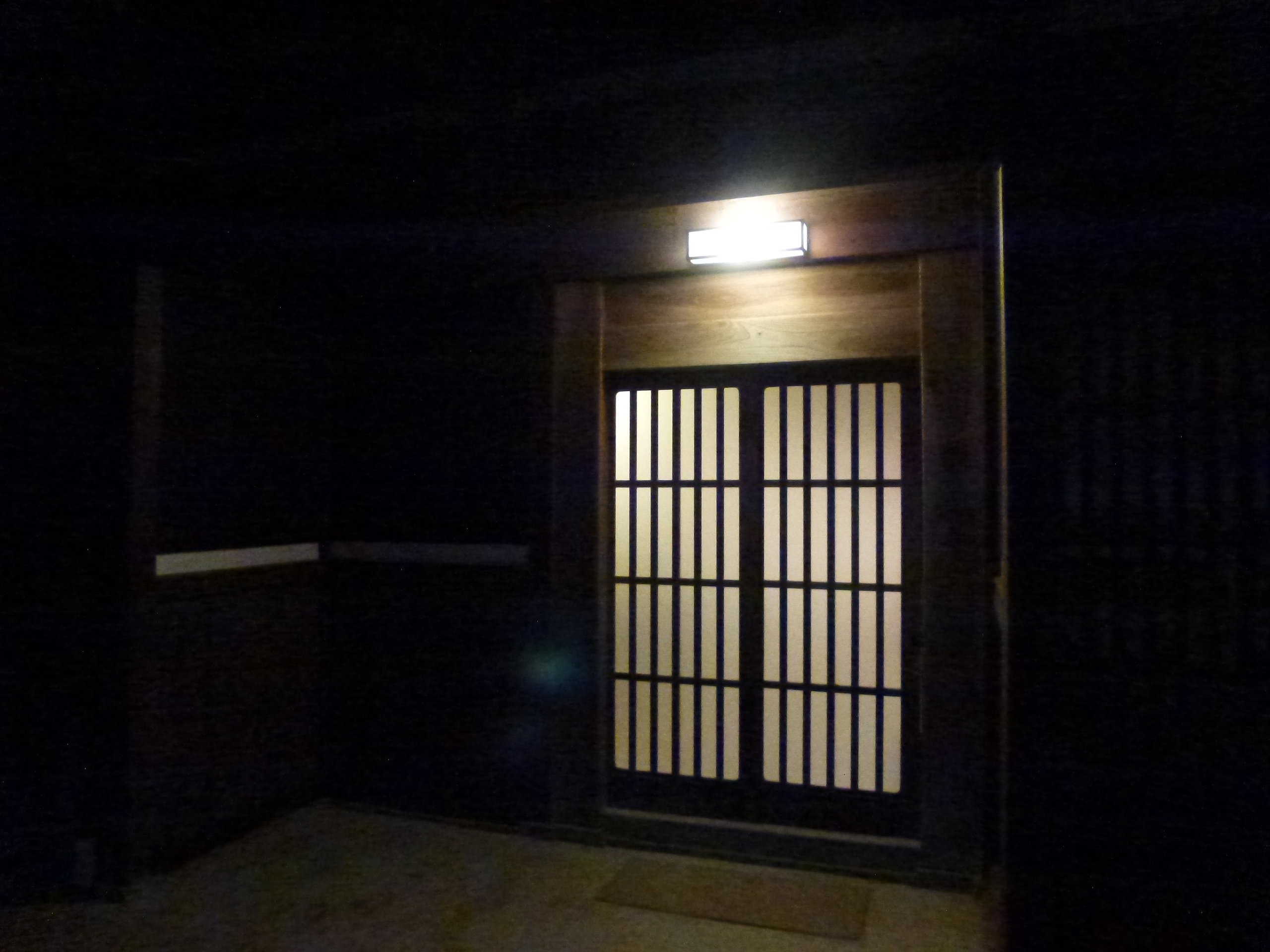 P1010029.JPG