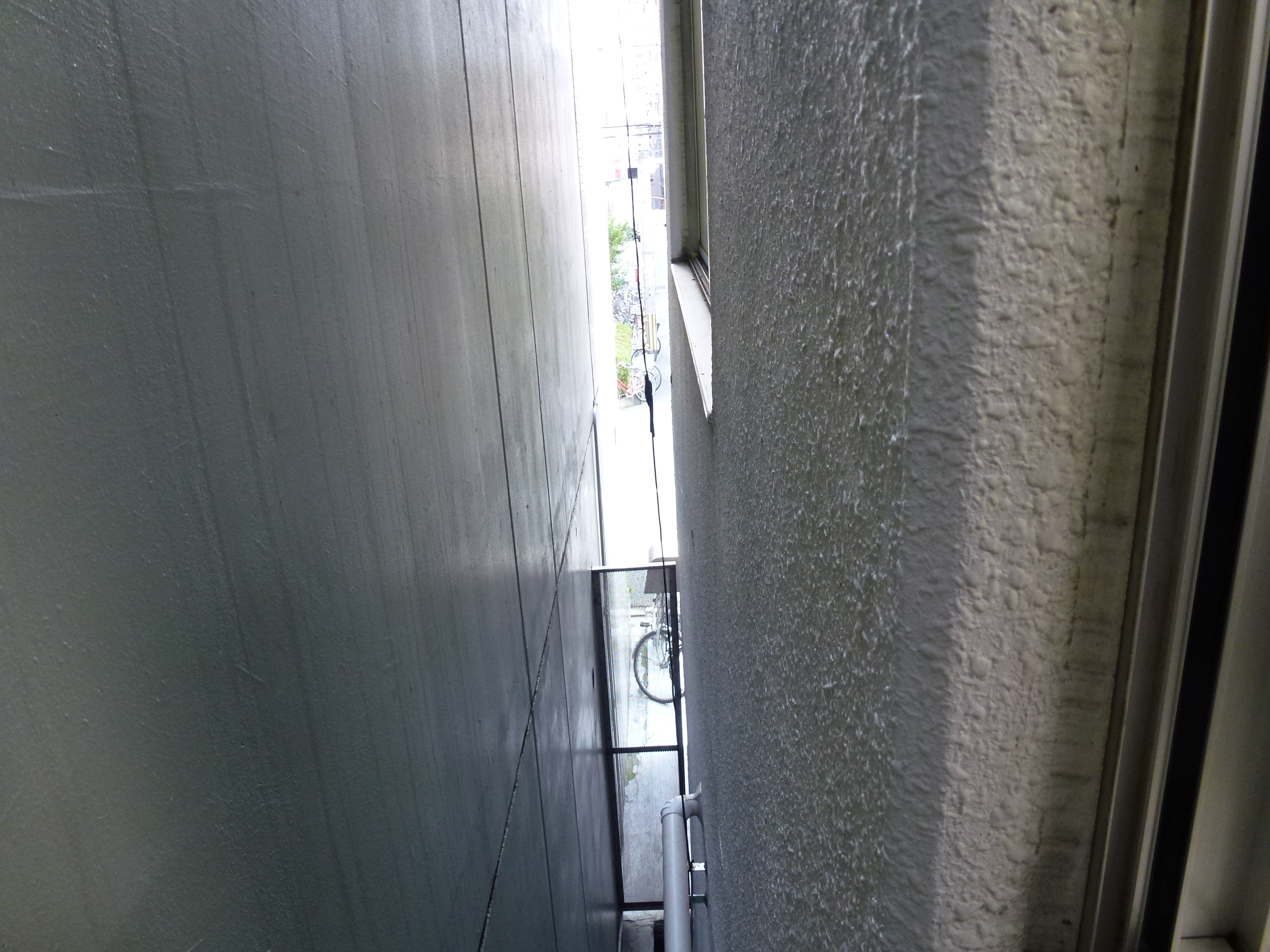 P1010074.JPG