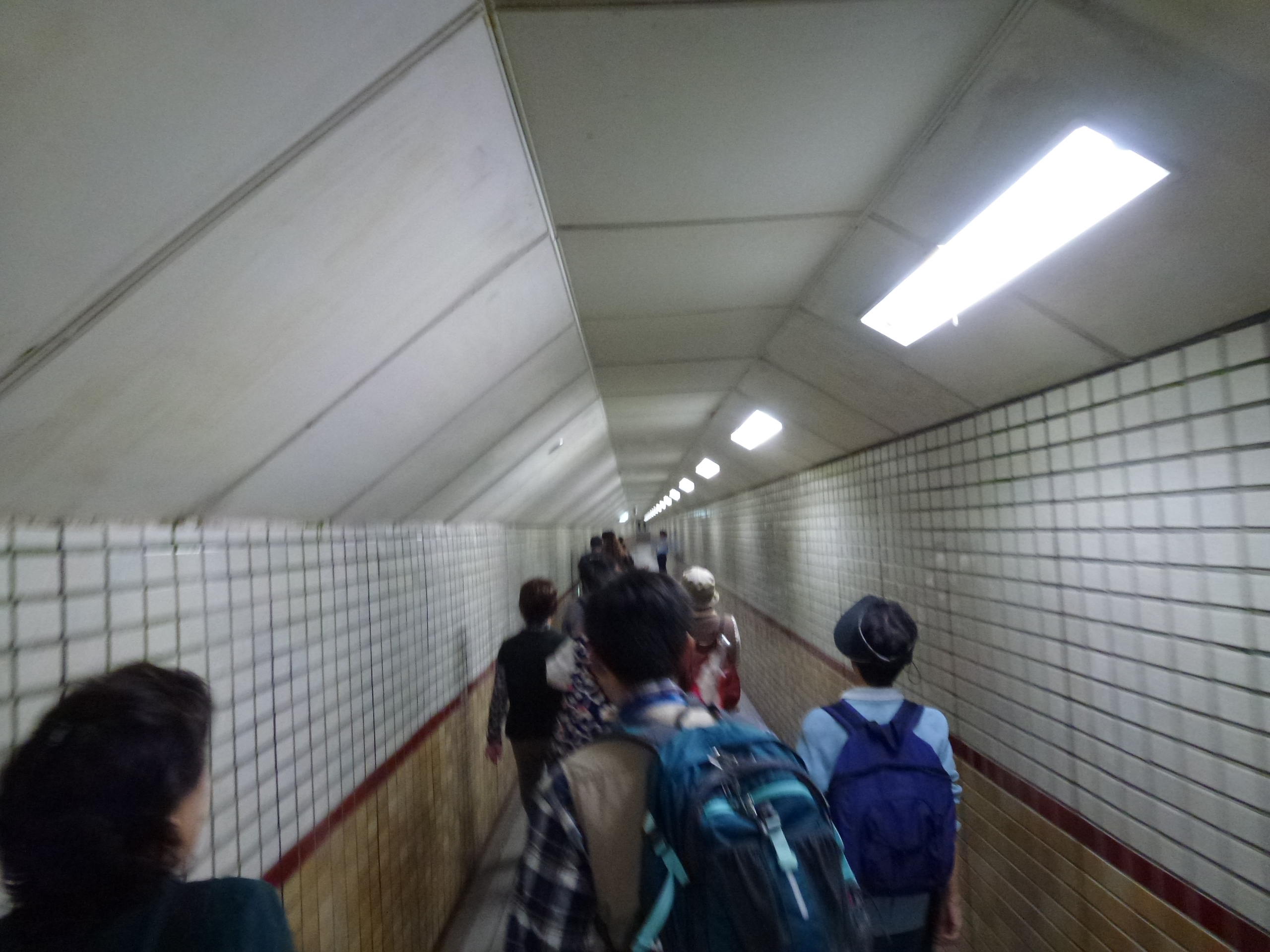 P1010130.JPG