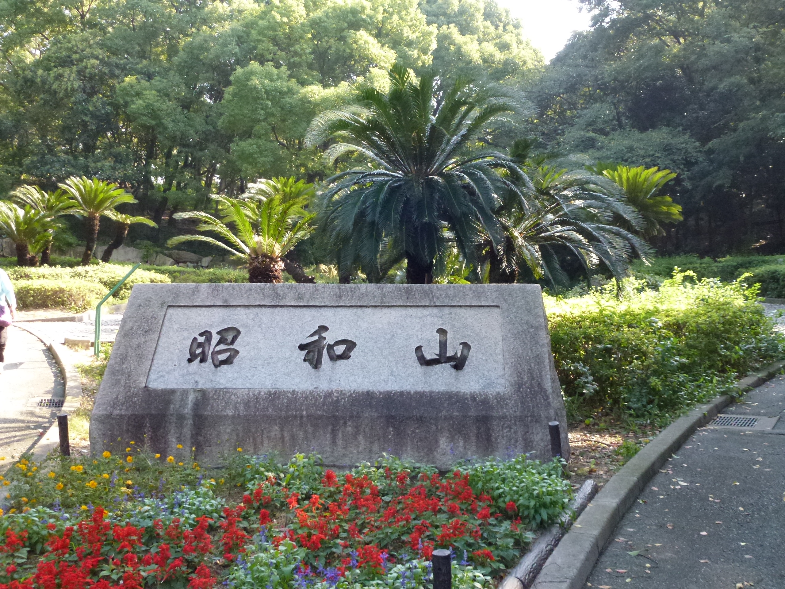 P1010140.JPG