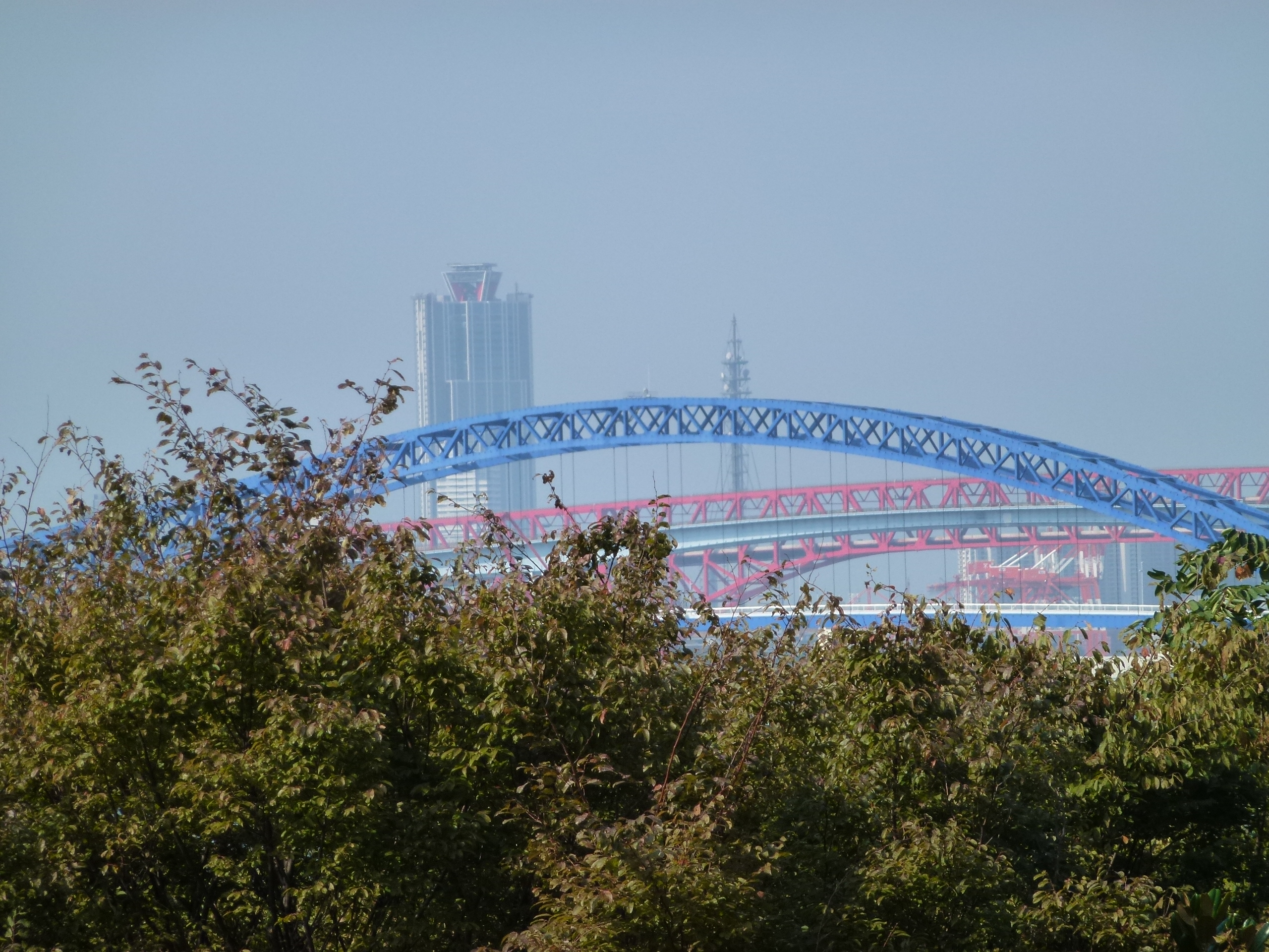 P1010145.JPG
