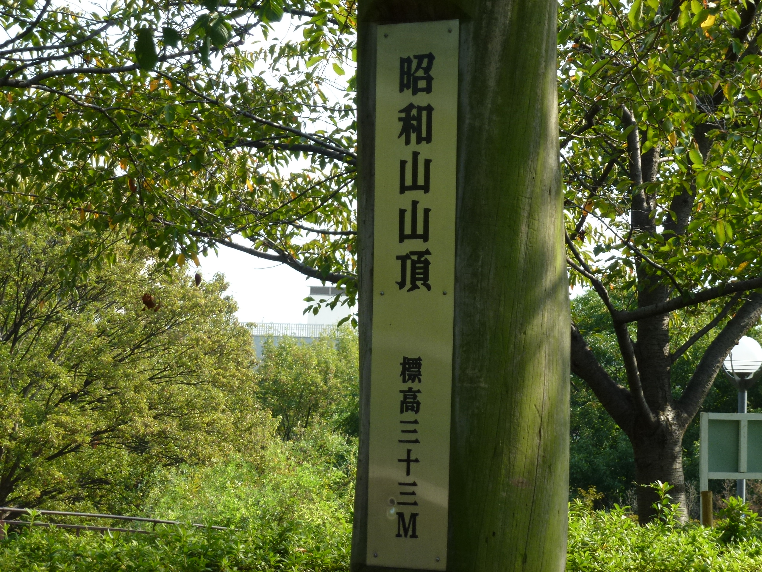 P1010146.JPG