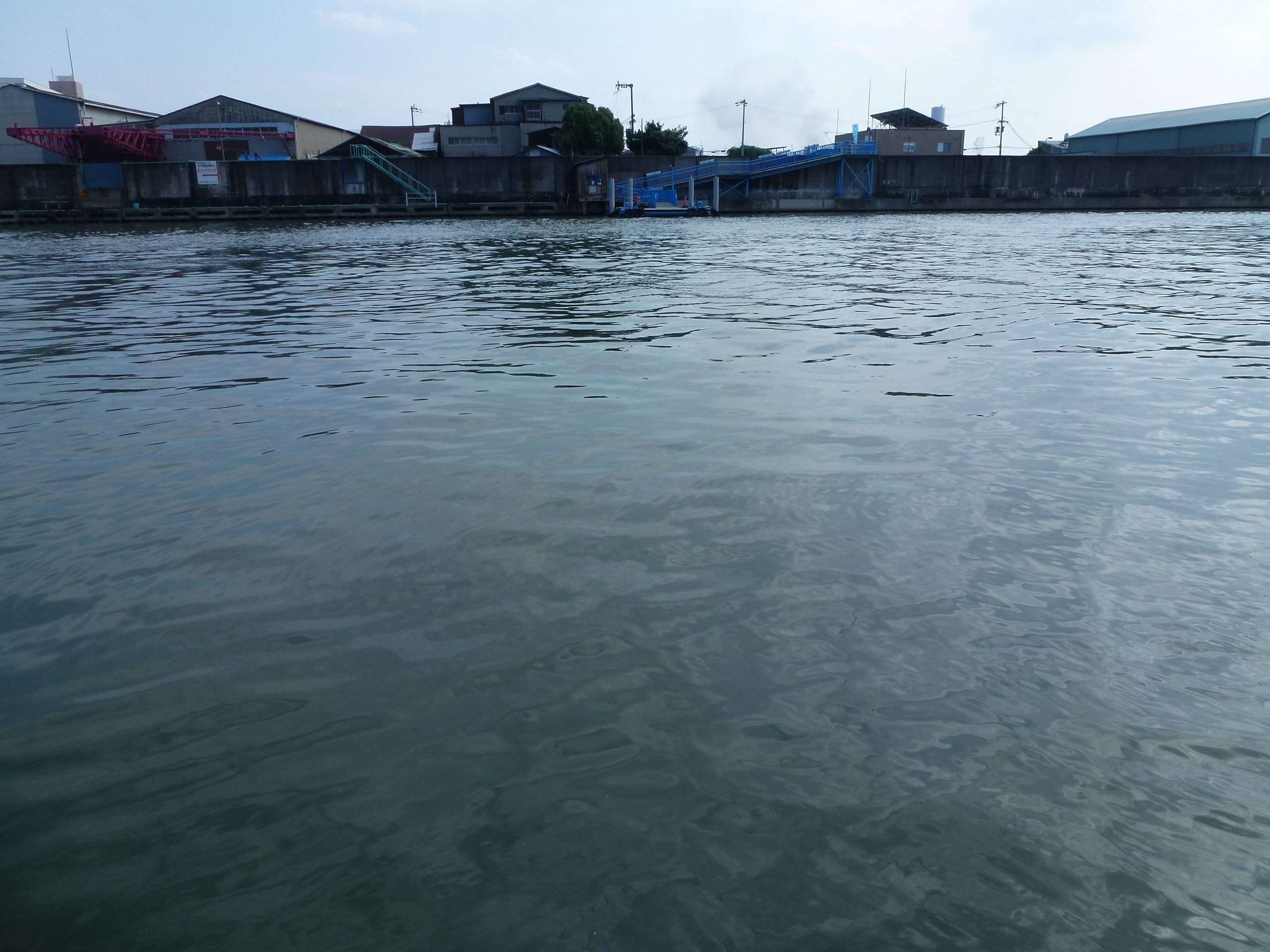 P1010154.JPG