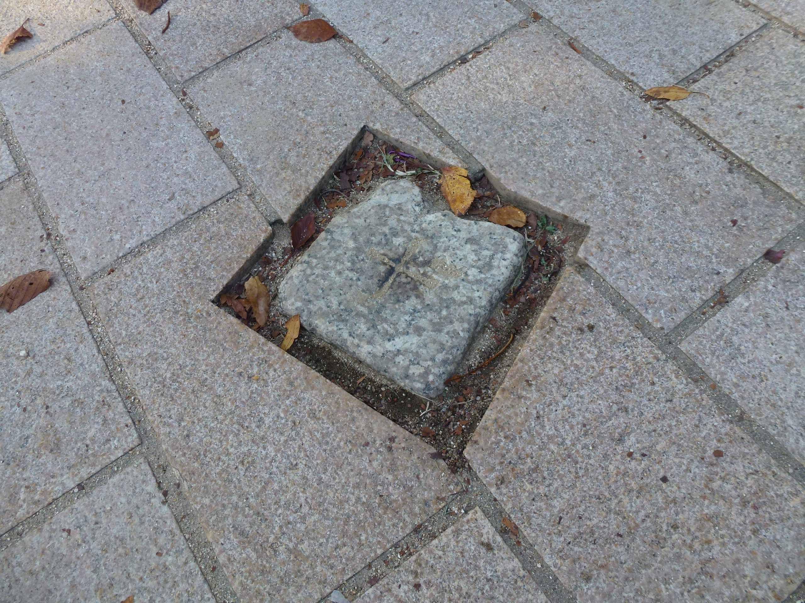 P1010226.JPG