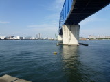img0082.jpg