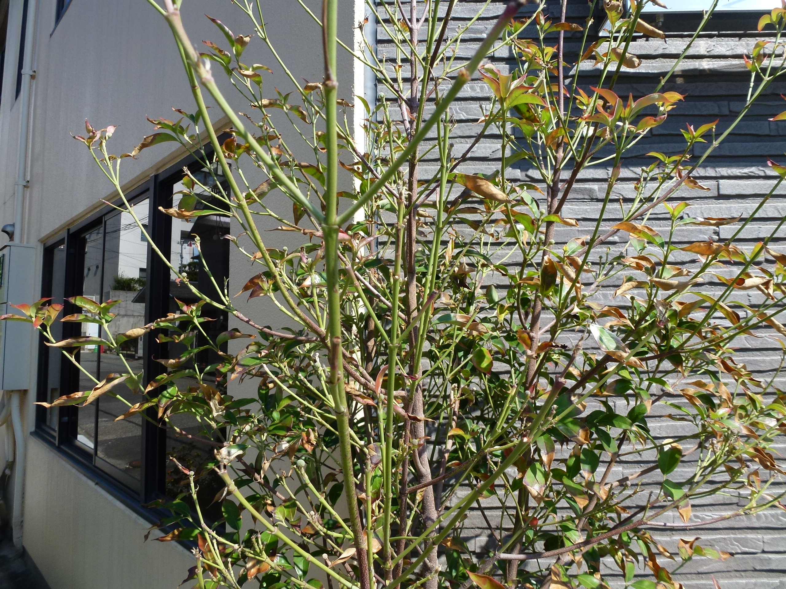 P1010239.JPG
