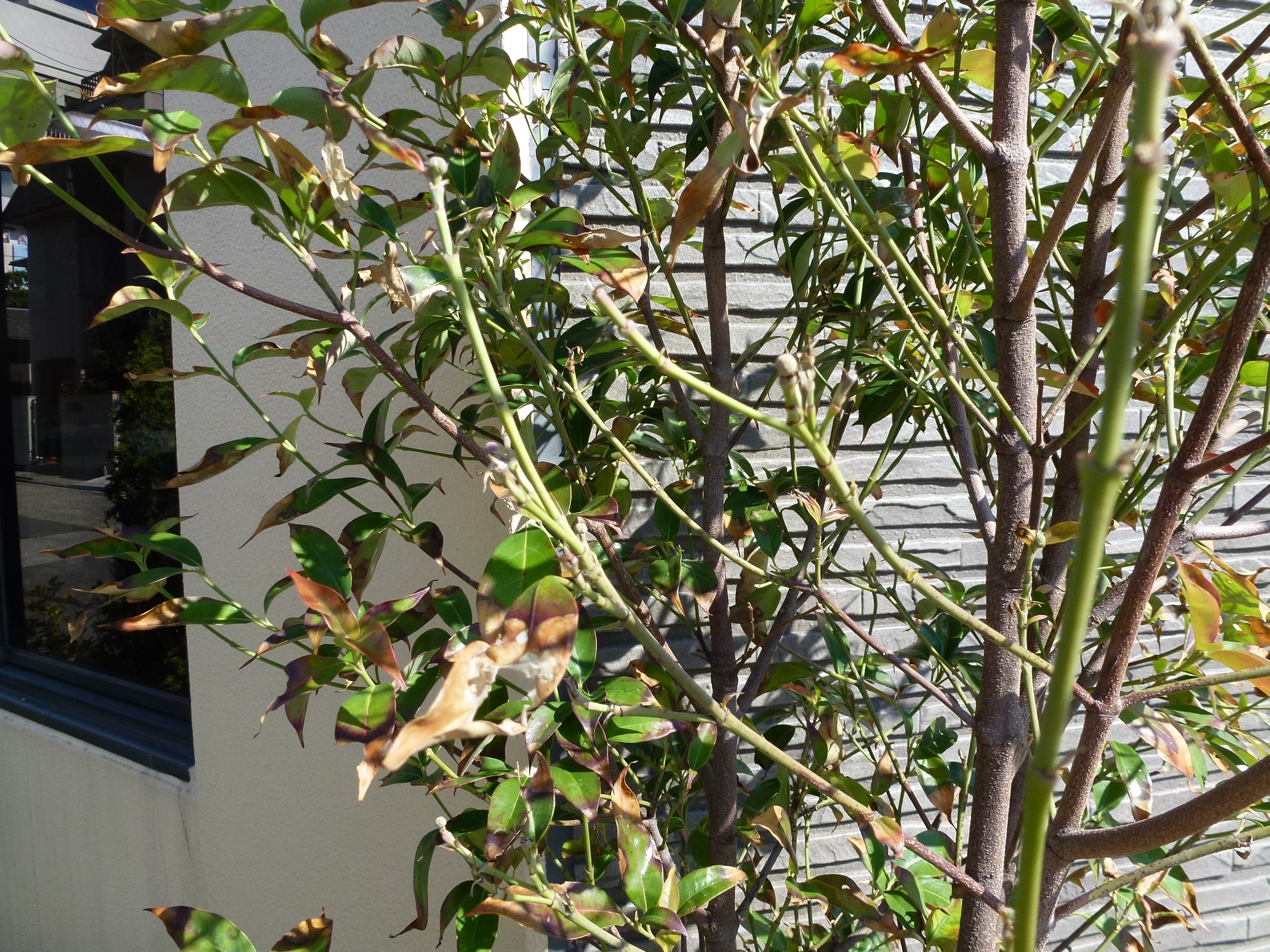 P1010242.JPG