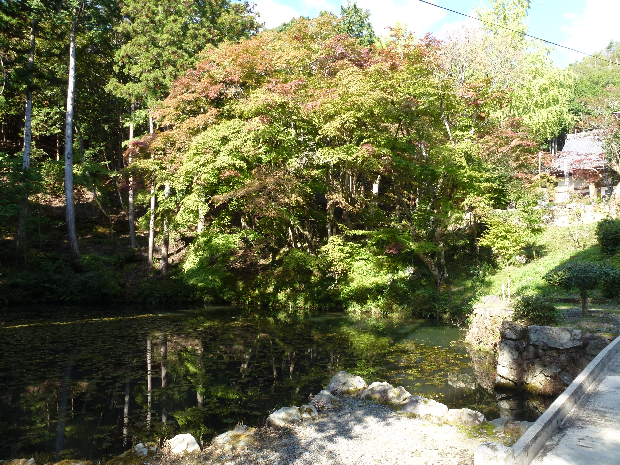 P1010269.JPG