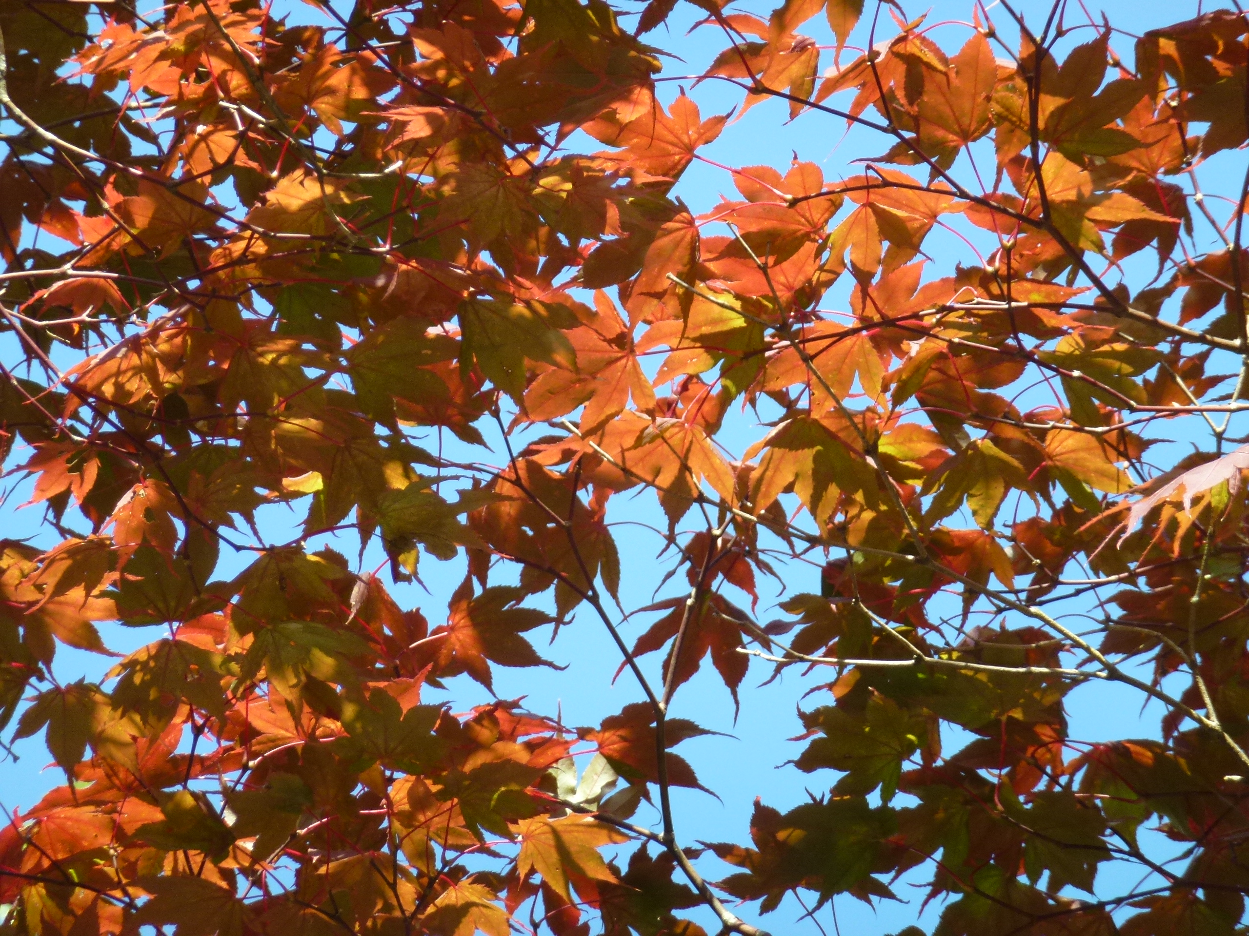 P1010274.JPG