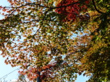 img0006.jpg