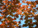 img0008.jpg