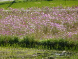 img0014.jpg