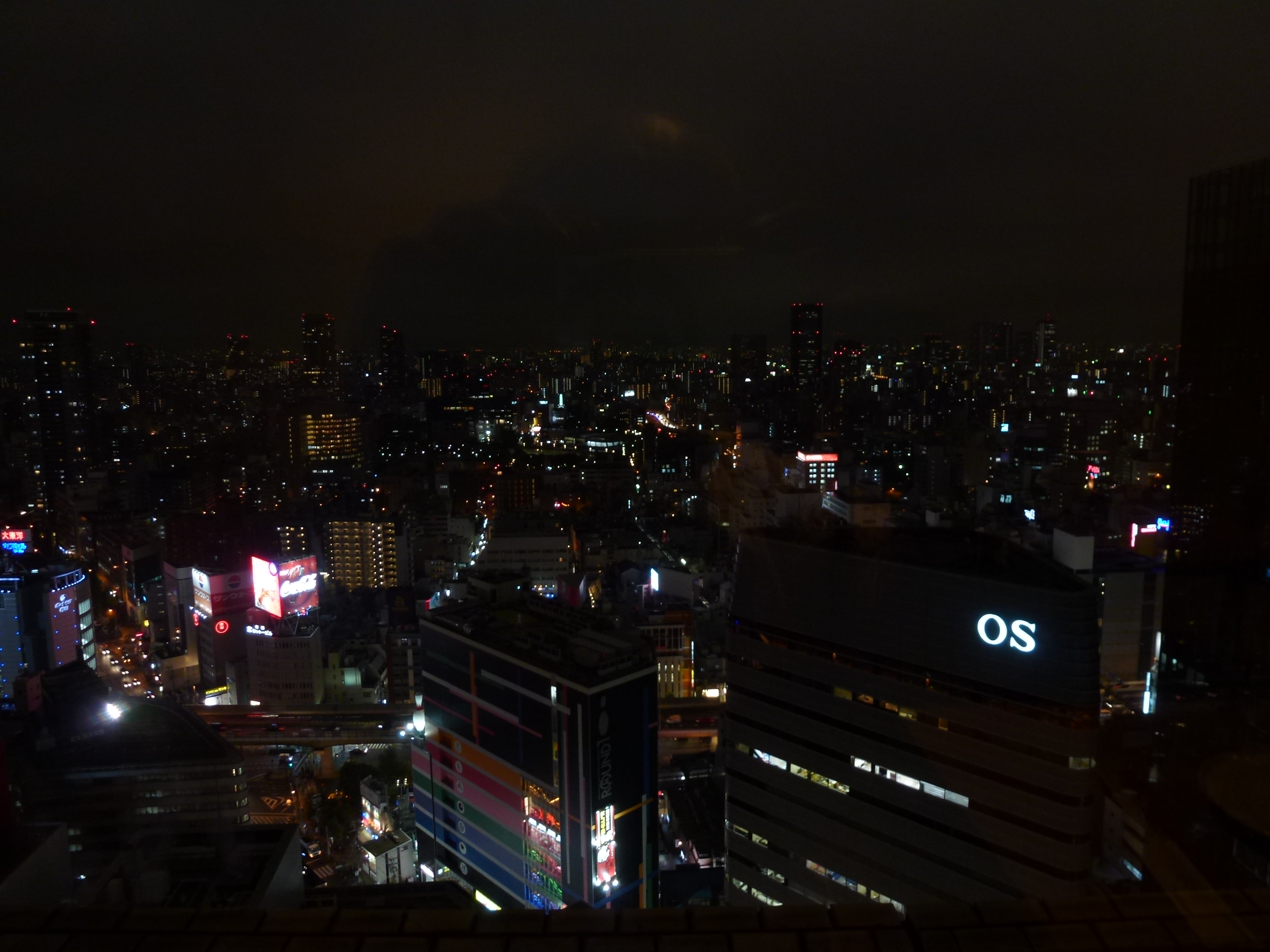 P1010356.JPG