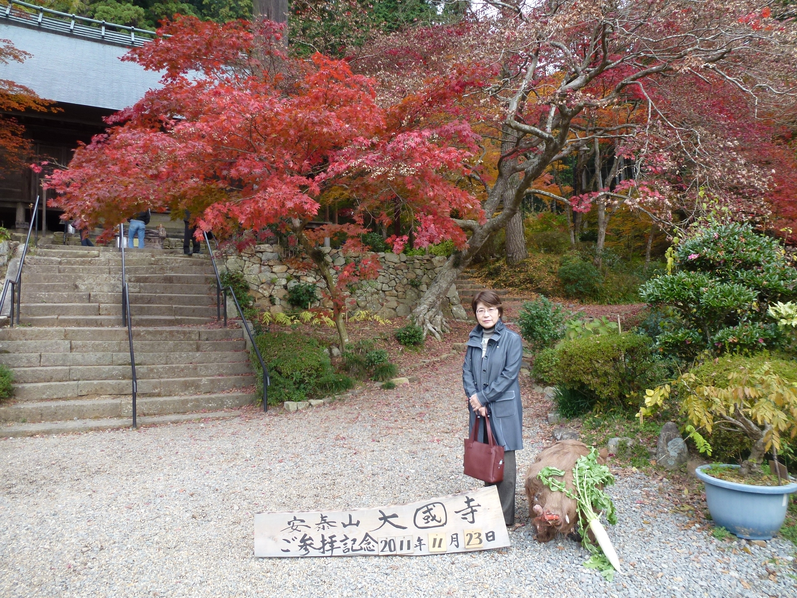P1010381.JPG