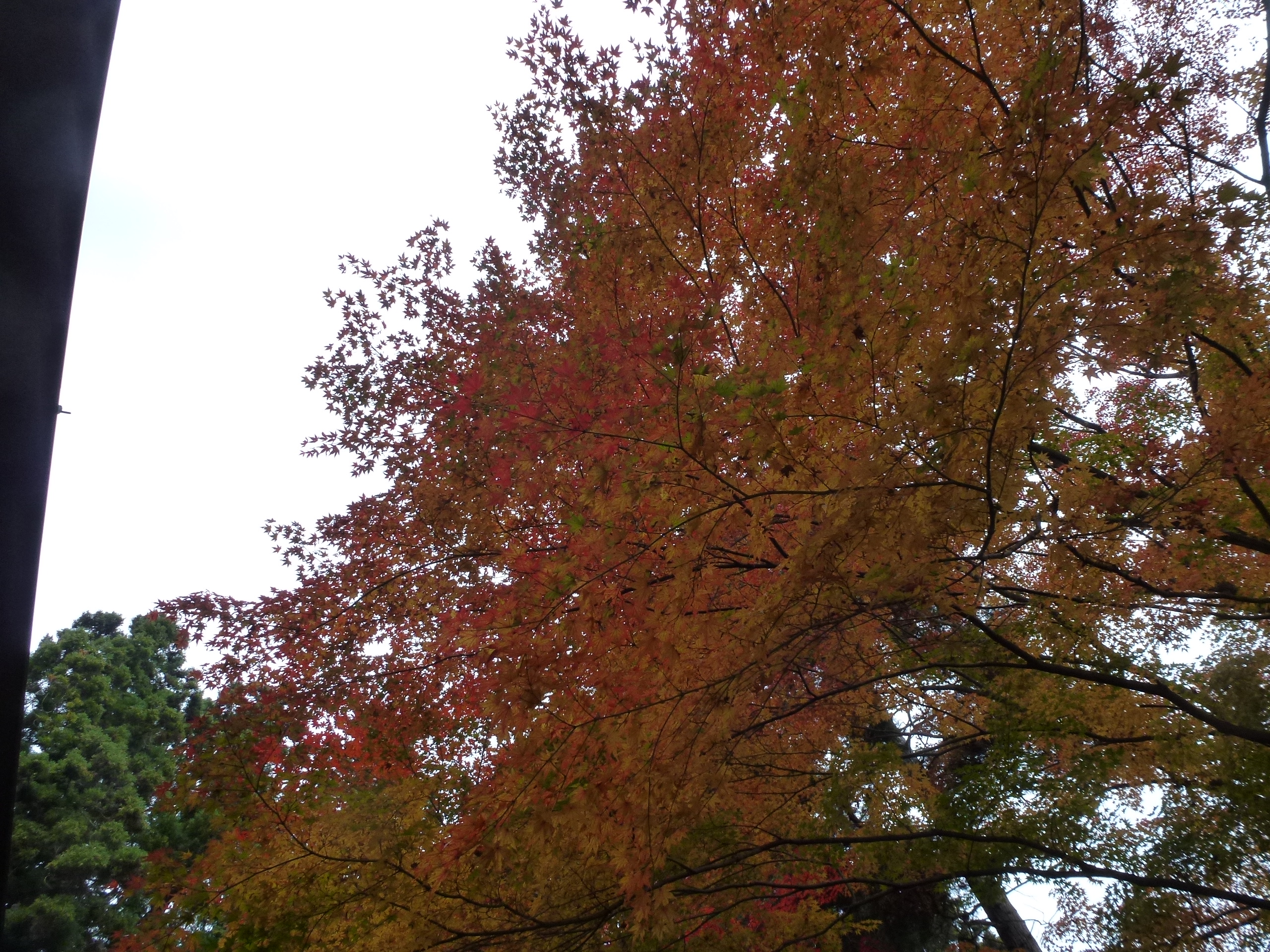 P1010383.JPG