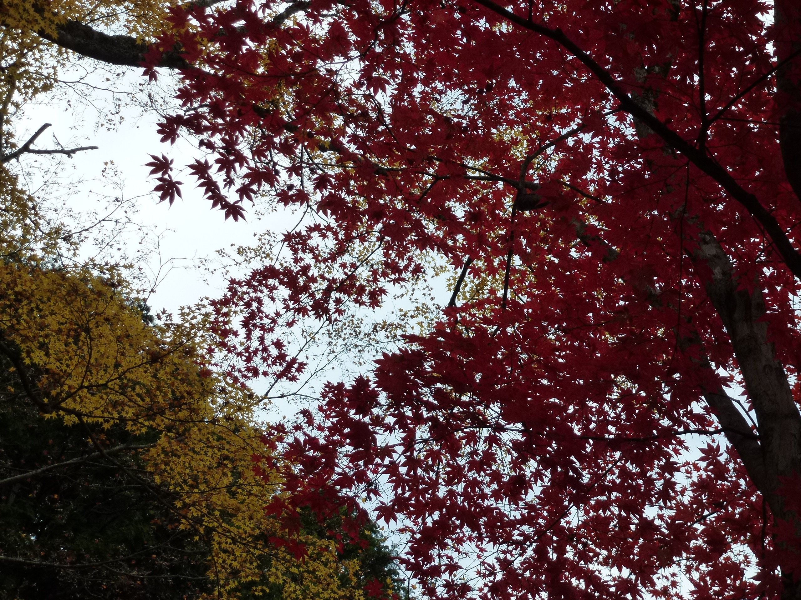 P1010409.JPG