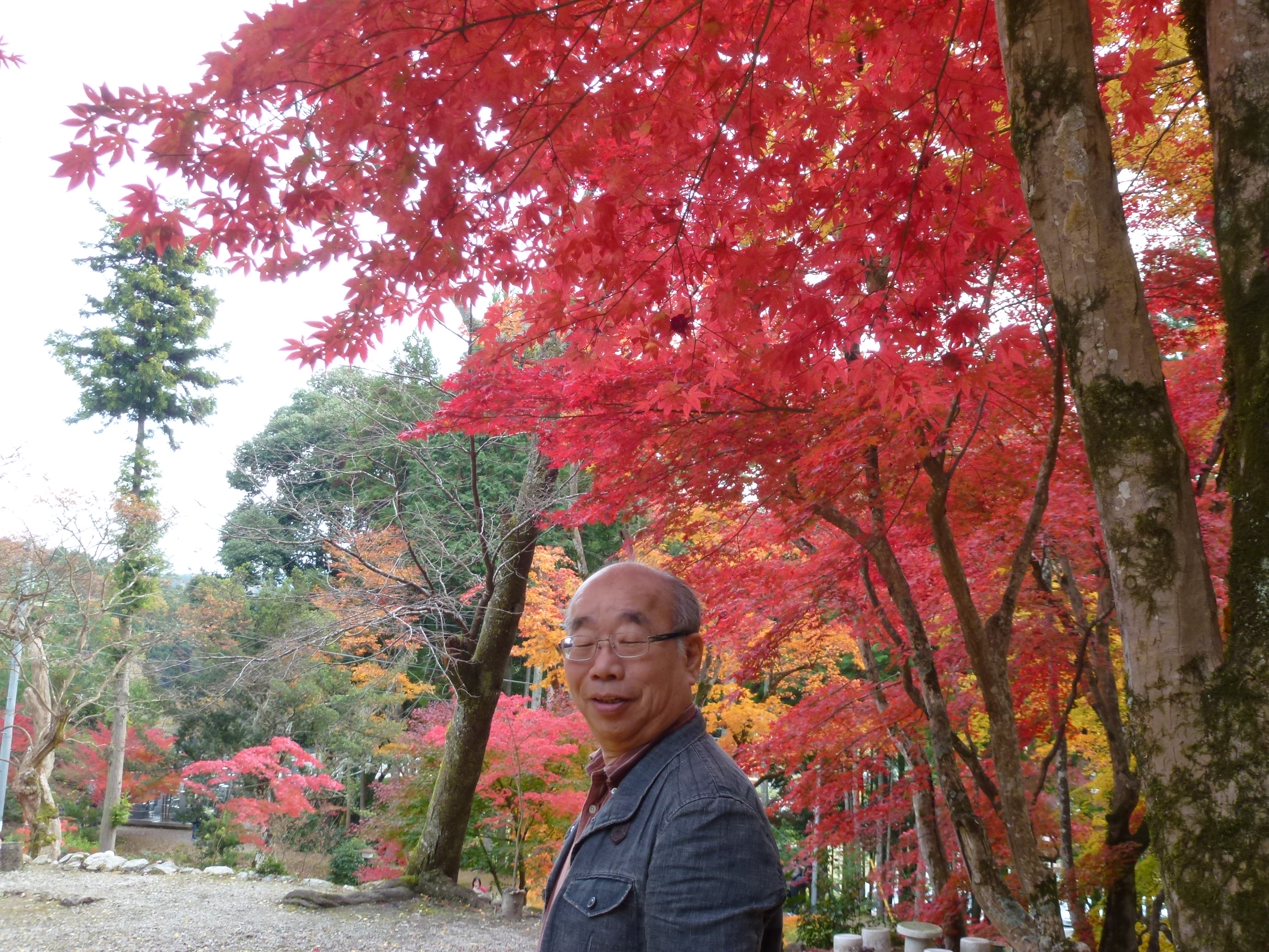 P1010411.JPG