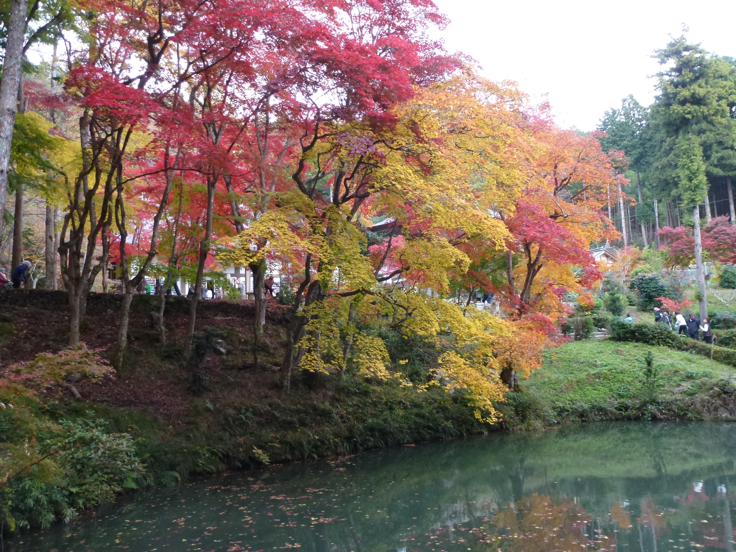 P1010417.JPG