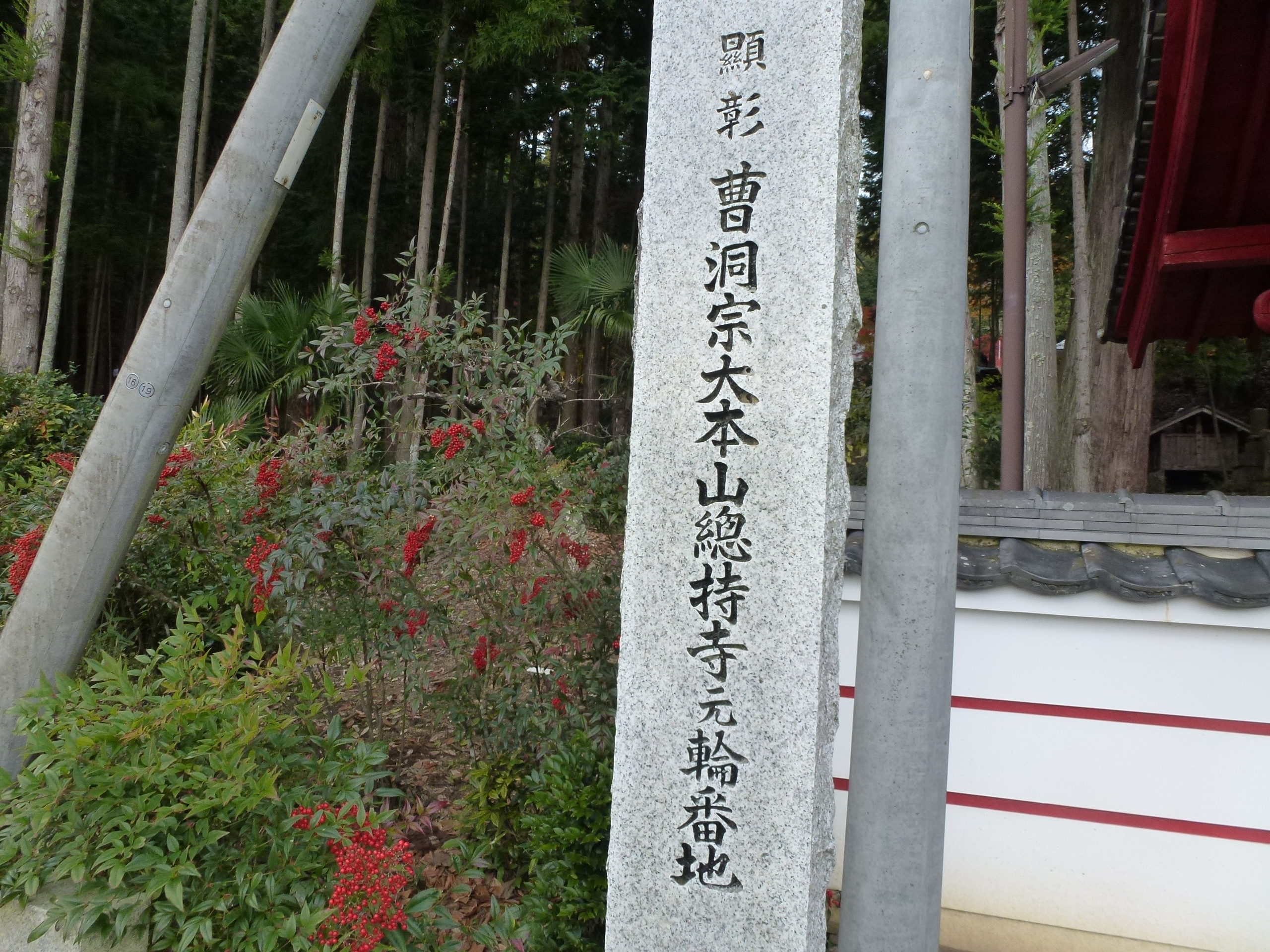 P1010418.JPG