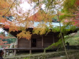 img0004.jpg