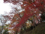 img0012.jpg