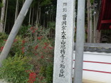 img0018.jpg