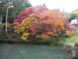 img0019.jpg
