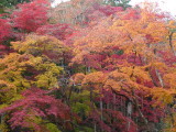 img0021.jpg
