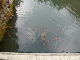 img0022.jpg