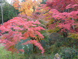 img0025.jpg