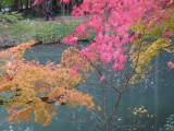 img0026.jpg
