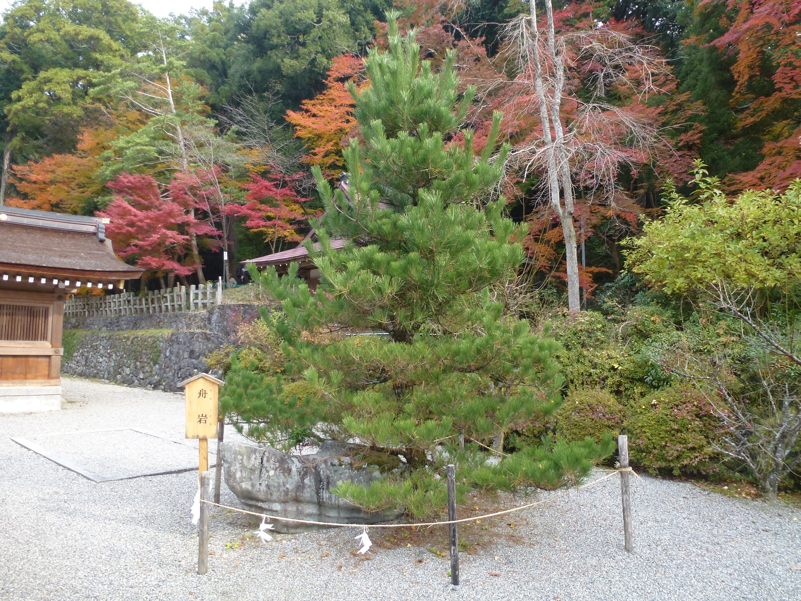 P1010422.JPG
