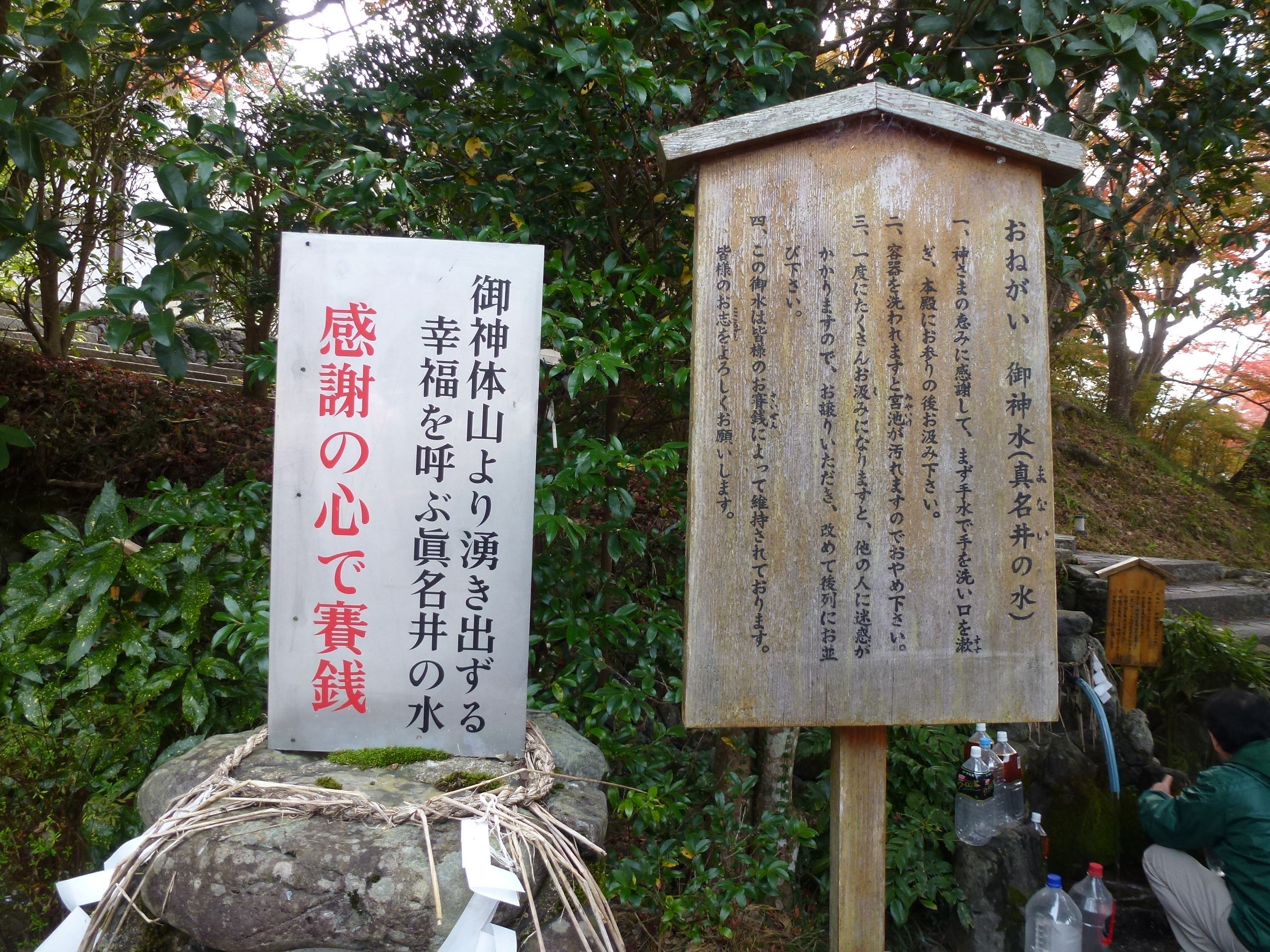 P1010429.JPG