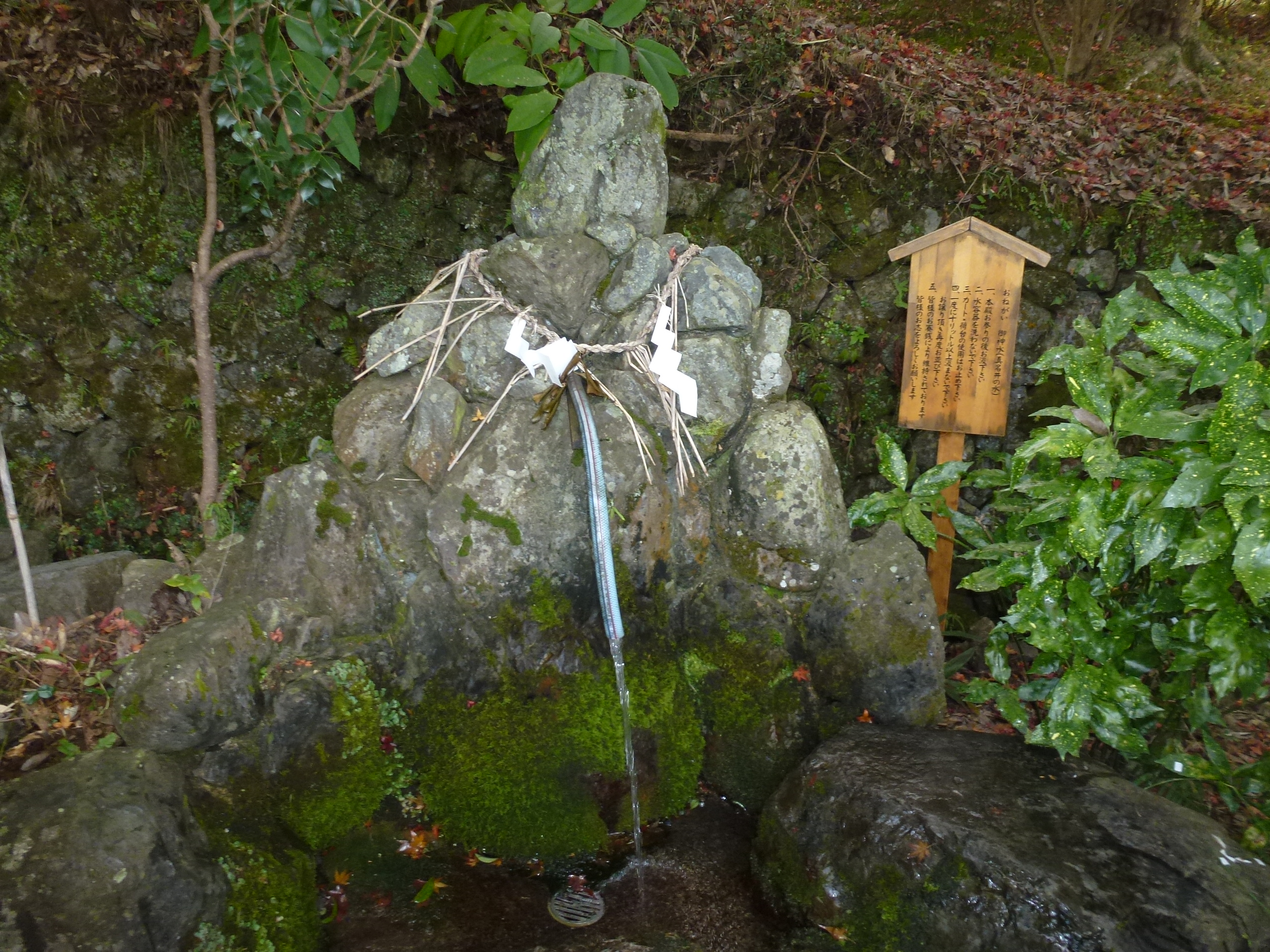 P1010430.JPG