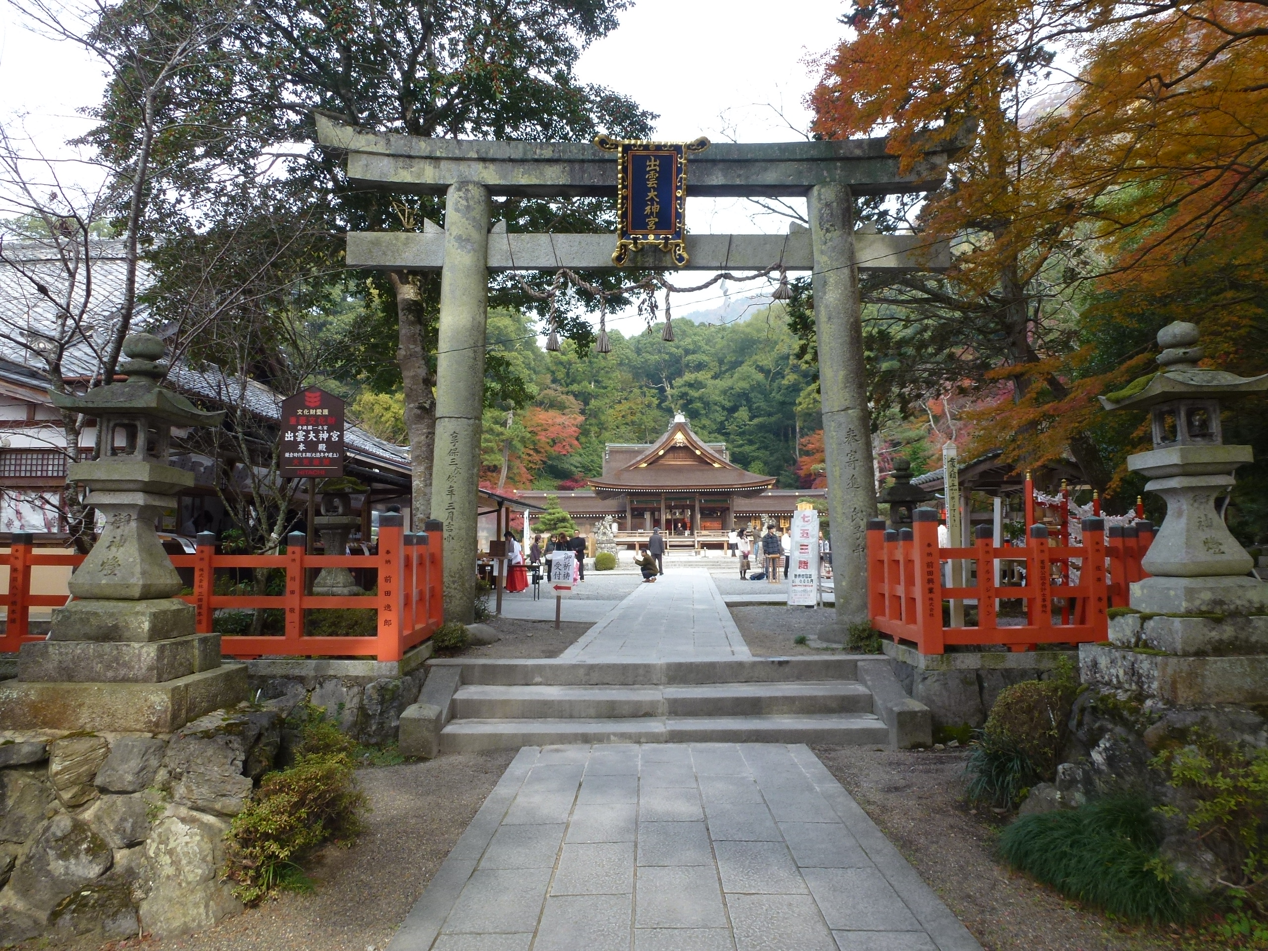 P1010431.JPG