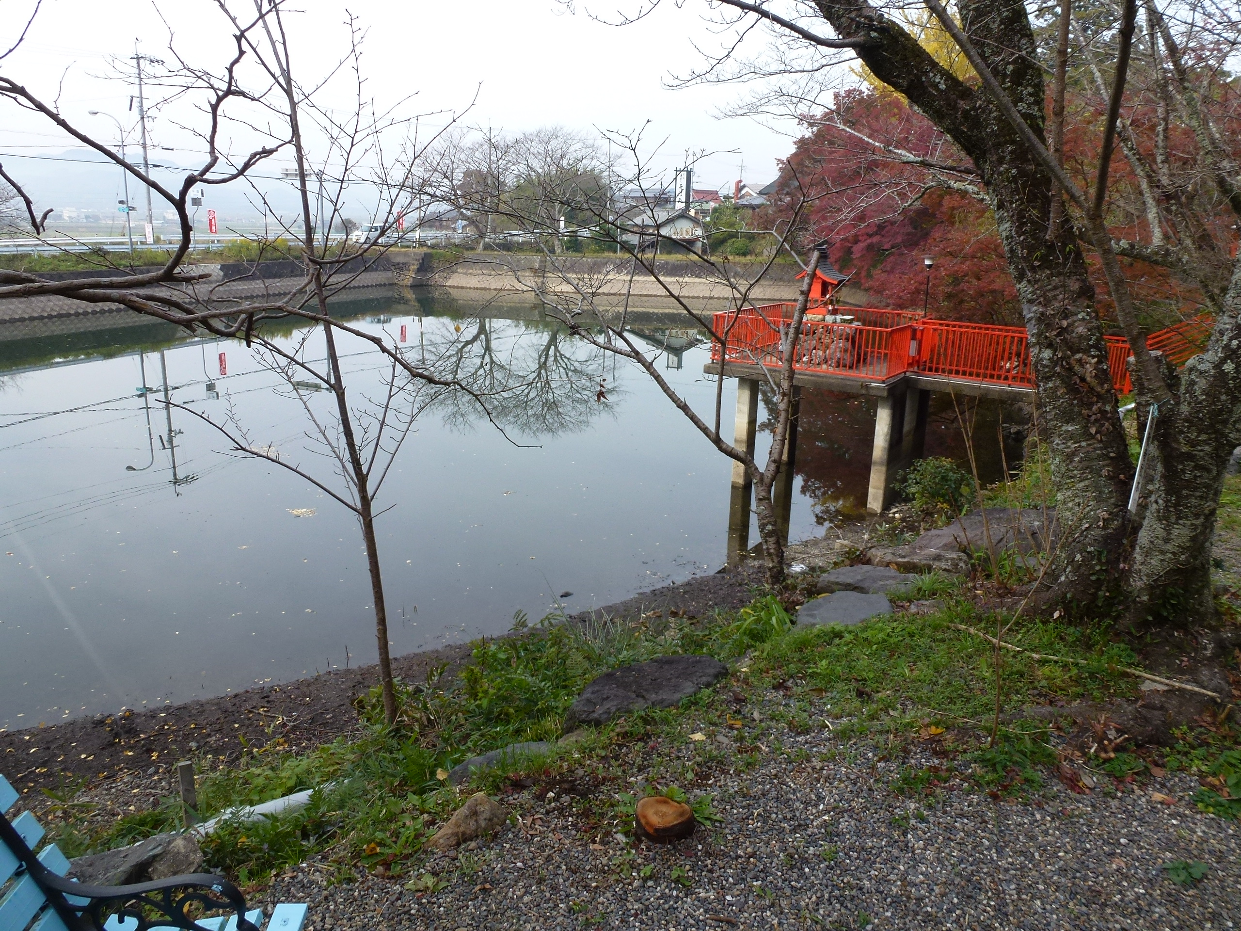 P1010432.JPG