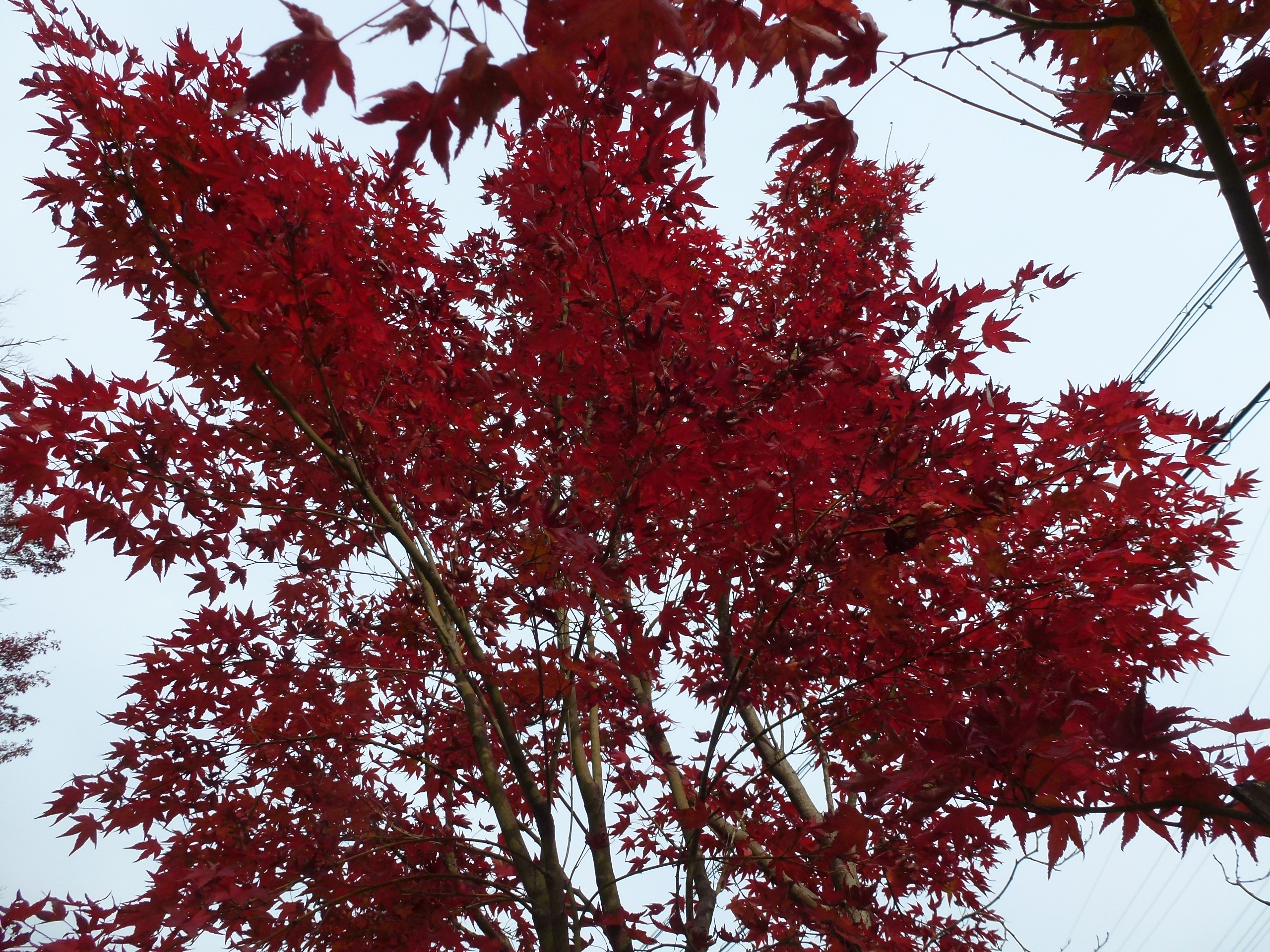 P1010442.JPG