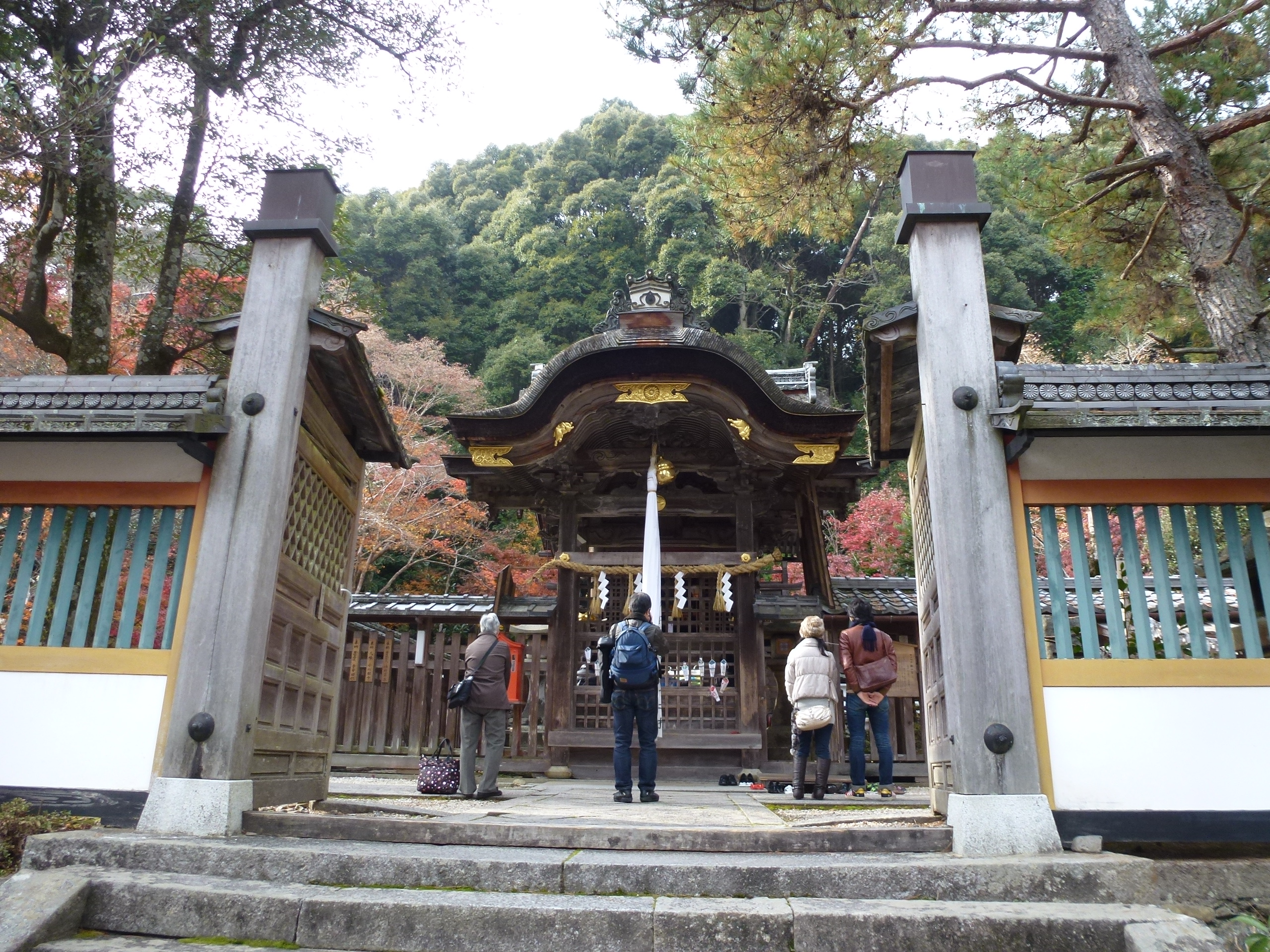 P1010445.JPG