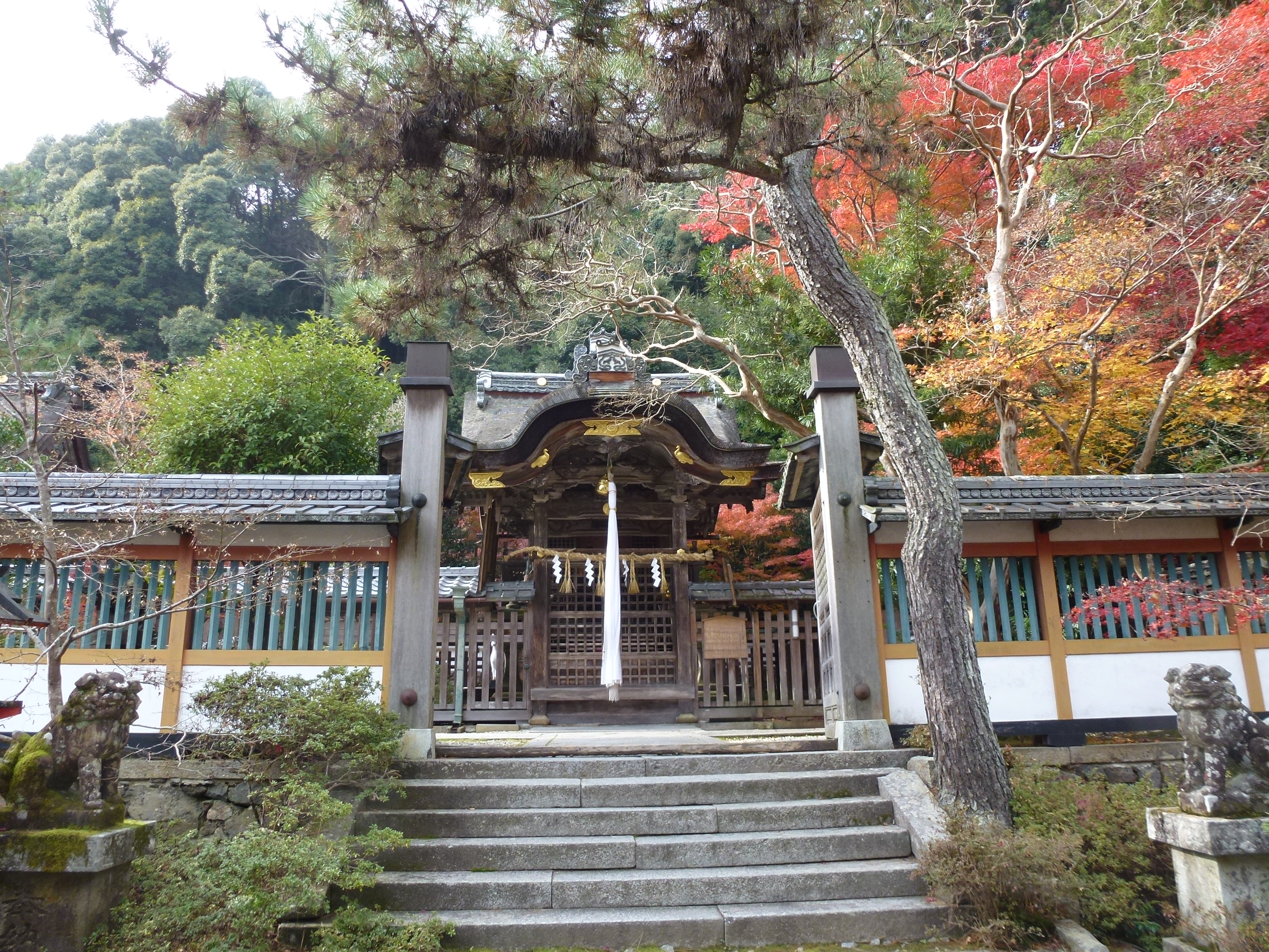 P1010447.JPG