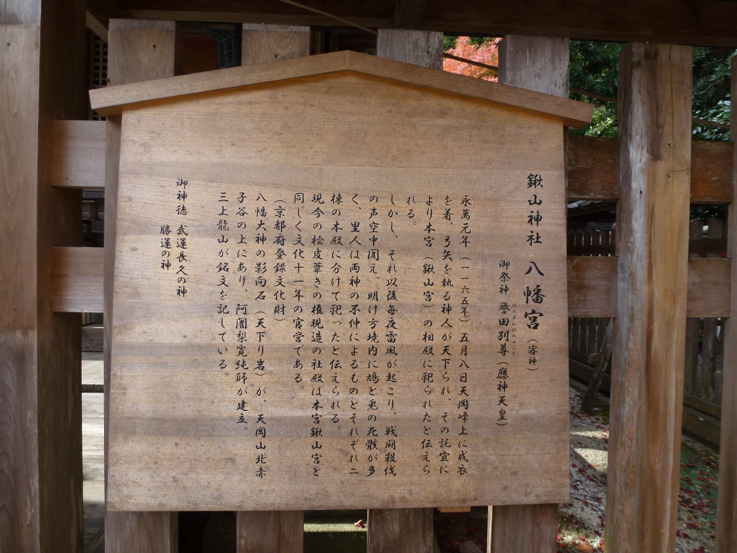 P1010449.JPG