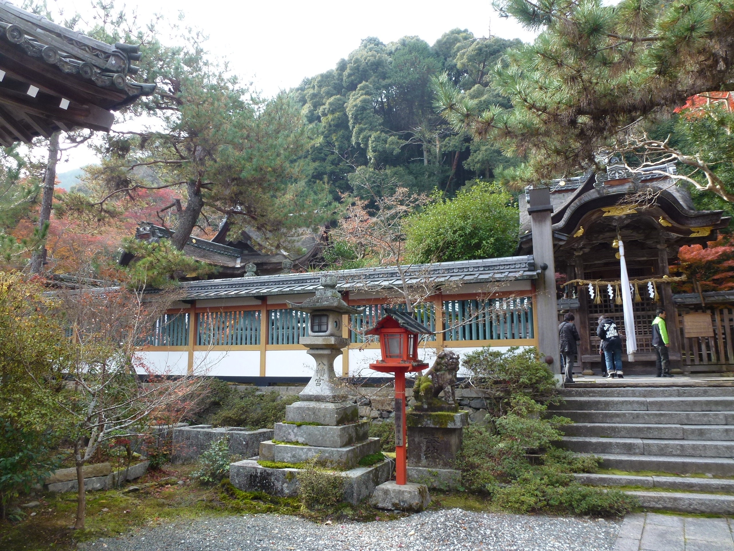 P1010451.JPG
