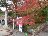 img0004.jpg