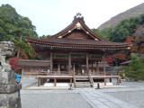 img0006.jpg