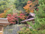 img0009.jpg