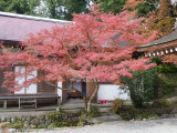 img0010.jpg