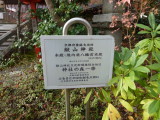 img0022.jpg