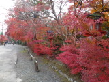 img0023.jpg